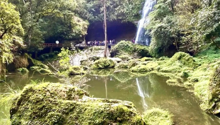 杉林溪森林生态渡假园区 - 557台湾南投縣竹山鎮溪山路6號