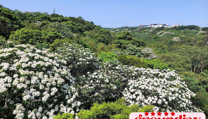 銅鑼科學園區 - 366台湾 Miaoli County, Tongluo Township