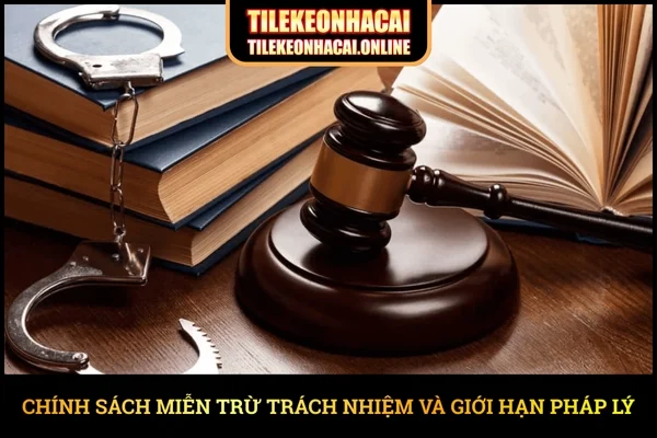 Chính sách miễn trừ trách nhiệm và giới hạn pháp lý