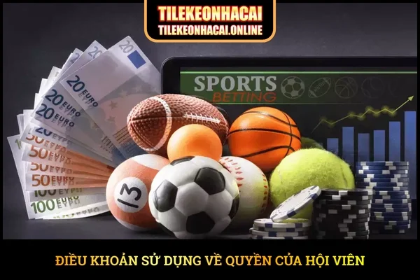 Điều khoản sử dụng về quyền của hội viên