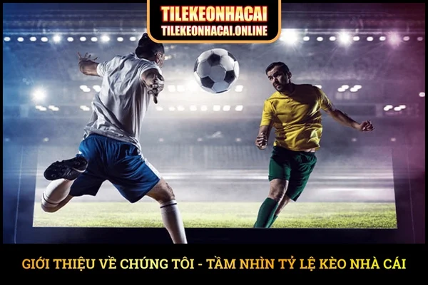 Giới thiệu về chúng tôi - Tầm nhìn Tỷ Lệ Kèo Nhà Cái