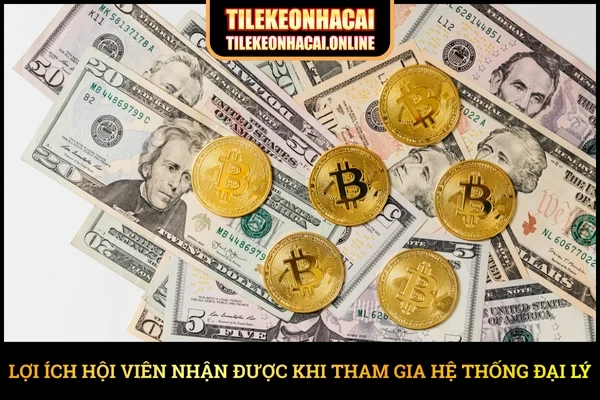 Lợi ích hội viên nhận được khi tham gia hệ thống đại lý