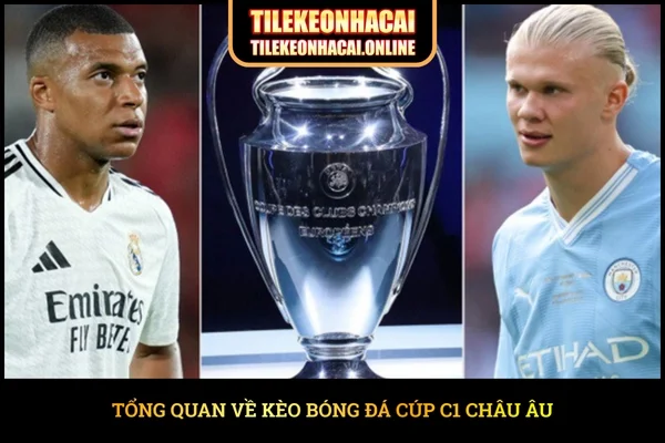 Tổng quan về kèo bóng đá Cúp C1 Châu Âu