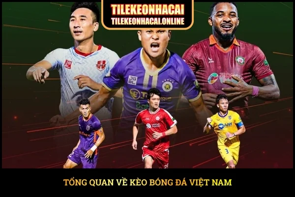 Tổng quan về kèo bóng đá Việt Nam